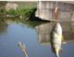 pescuitul la biban scule necesare