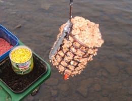 Pescuitul scobarului la feeder