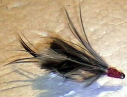  Cu musca dupa oblete