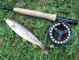 despre lanseu in pescuitul la pastrav