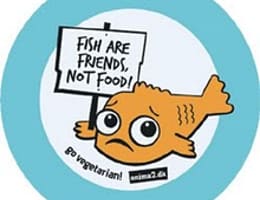 Pescuiesti deci eliberezi