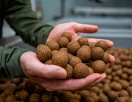 Boilies solubil - parți componente