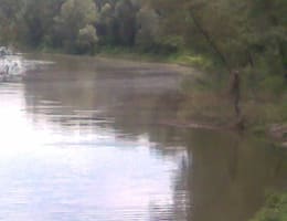 De ce C&R in Europa si la noi nu!