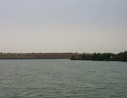 Ploaia si vantul in pescuitul crapului