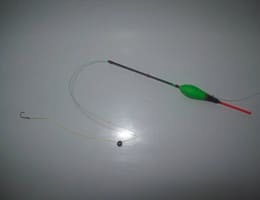 Pescuitul platicii la varga