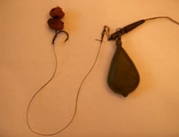 montura fir de par - tiger nuts