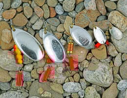 Pescuitul avatului la momeli artificiale