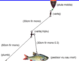 Montura Pater noster