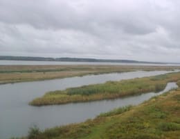 Pescuitul la clean pe Olt