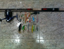 pescuitul la blackbass