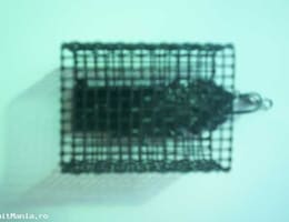 producator cosulete nada, momitoare