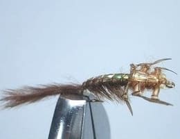 vand un set de 24 carabusi artificiali