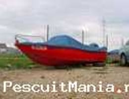 Barca sport cu motor Suzuki  50 cp