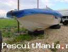 Barca sport cu motor Johnsson  20 cp