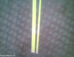 bambine luminoscente starletii