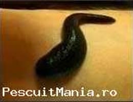 vind lipitori 1ron bucata