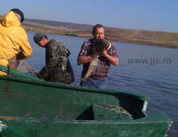 Vand puiet de ovara , crap , cten , novac , sanger 