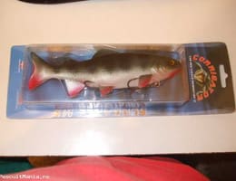 Orice vreti de la JENZI!!!