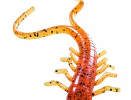 Super-shaduri \"JENZI\" la pret de importator!