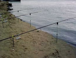 Vand mulinete de crap 