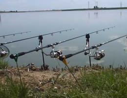 Mitchell Armada Carp First 3.5 Lbs