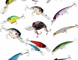 VOBLERE SUA, Bass Pro Shops