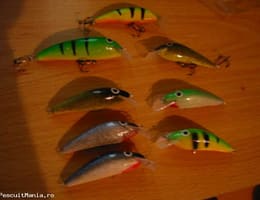 voblere tei sau balsa la alegere