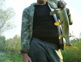 OFER CAZARE,TRANSPORT RAPID  SI SIGUR,EXCURSII  SI LOCURI DE PESCUIT IN DELTA DUNARII MILA 23 