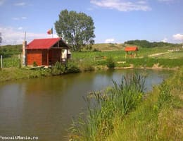 Vand pescarie - Romos