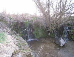 teren pt pastravarie