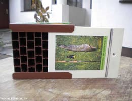 Vind cutii pastrare si transport Coropisnite