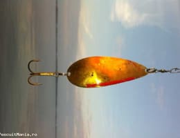 Pescuit in Delta Dunarii la Crap, Stiuca si Somn