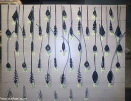 Plumbi vopsiti ecologic