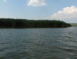 Vand Iaz 7,5 ha Iasi OKAZIE !!