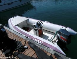 Vand barca cu motor plus peridoc