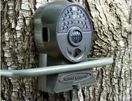 CAMERA VIDEO CAMUFLATA PENTRU VANATOARE