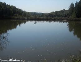 vand balta populata cu crap si casa