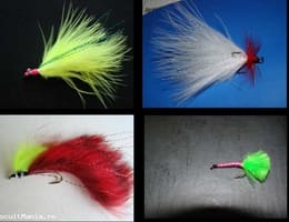 Streamere avat , stiuca , biban