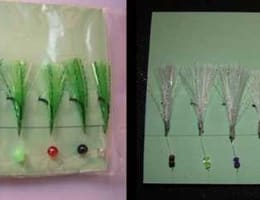 Taparina stavride , Taparina scrumbie