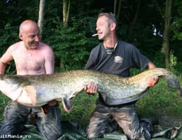 Pescuit in Italia pe  raul PO