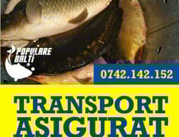 Peste Viu Populare Balti Pescuit