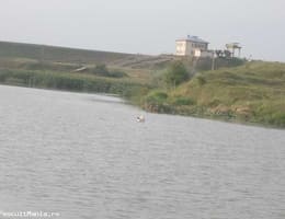 Vand concesiune balta