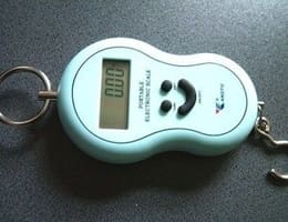 vand cantar electronic pentru pescari