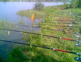 2 lansete crap marca DAM