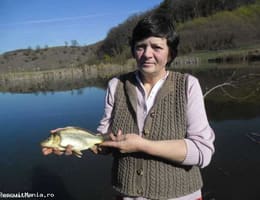 Puiet crap, fitofag, crap koi