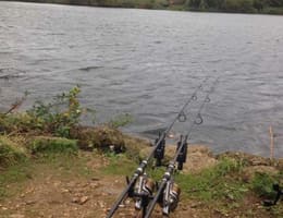 2xLansete pescuit carbon Nash Venom 3.9m---3.5Lbs