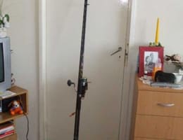 Bete crap somn carbon-complete!