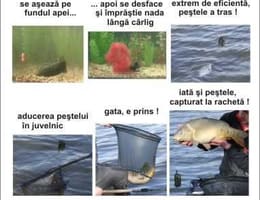 racheta de planatare