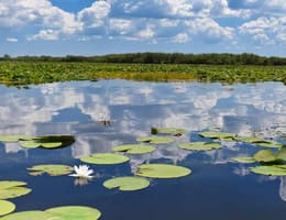 Pescuit in Delta Dunării - permise de pescuit in 2026