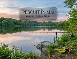 Pescuitul în luna Mai: Strategii între prohibiție și vârful de sezon pe bălți private